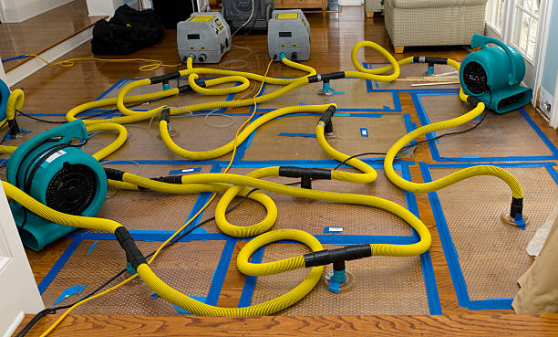 Professional Crawl Space Water Removal technician working in Stafford, OR